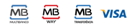 Pagamento por Multibanco, Mb Way, Transferência bancária, Visa